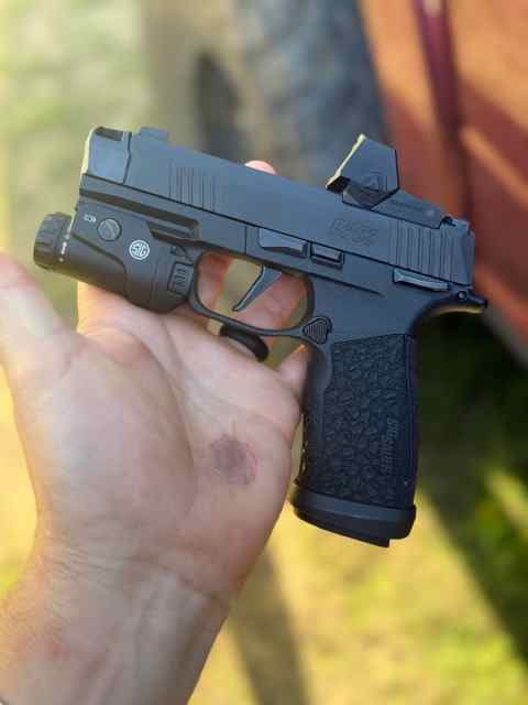 Sig 365 Build