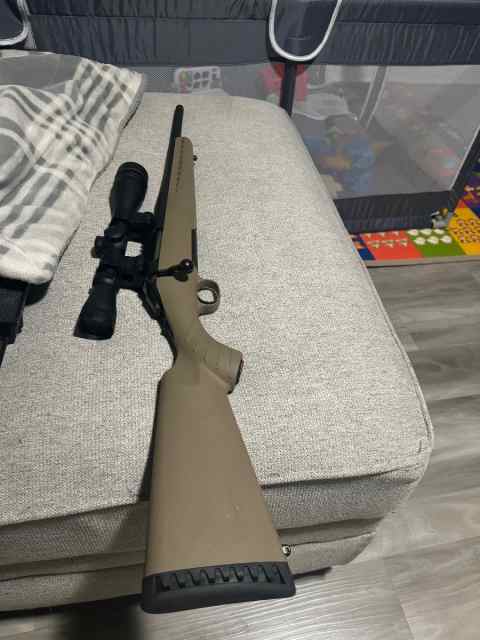 American Ruger 5.56 With Leupold Scope