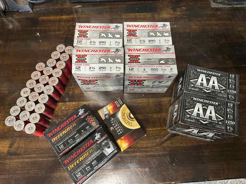 12 gauge shotgun shells (202)