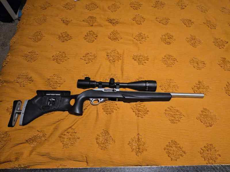 Ruger 10/22 FS/FT