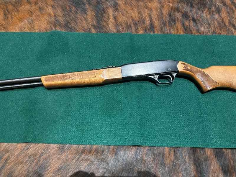 Winchester 22L model 190