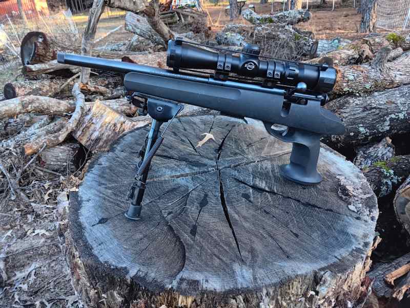 Savage model 503 17hmr