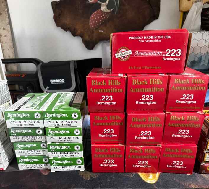 223 ammo