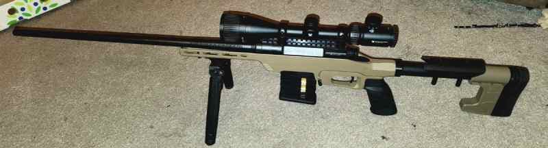 Savage Axis .308